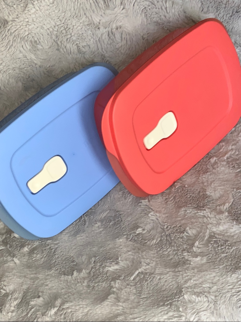 Tupperware  lunch container- Blue & Coral
